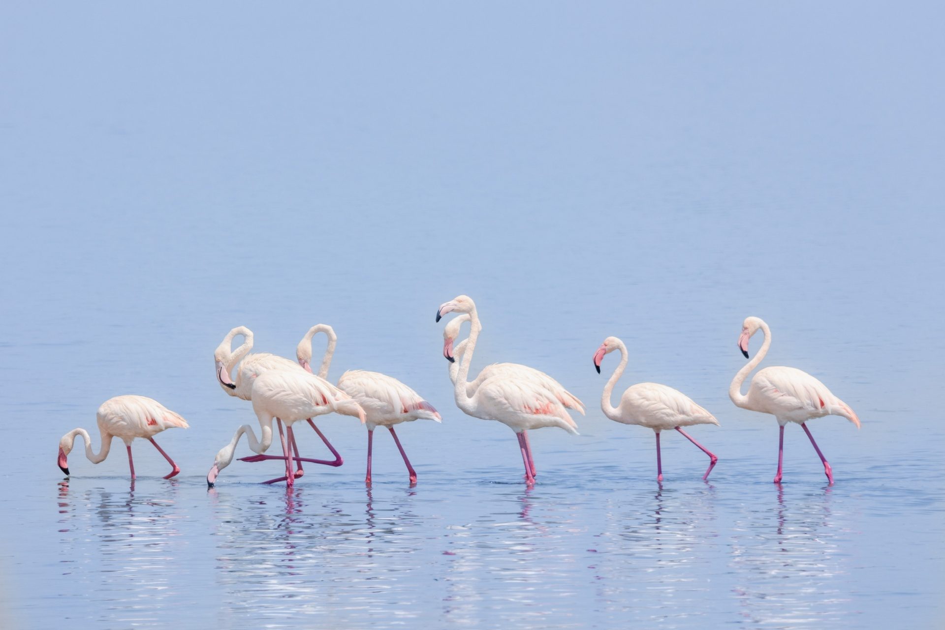 5-Day Luxury Ngorongoro Retreat
