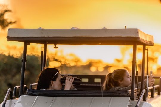 Honeymoon Add-On